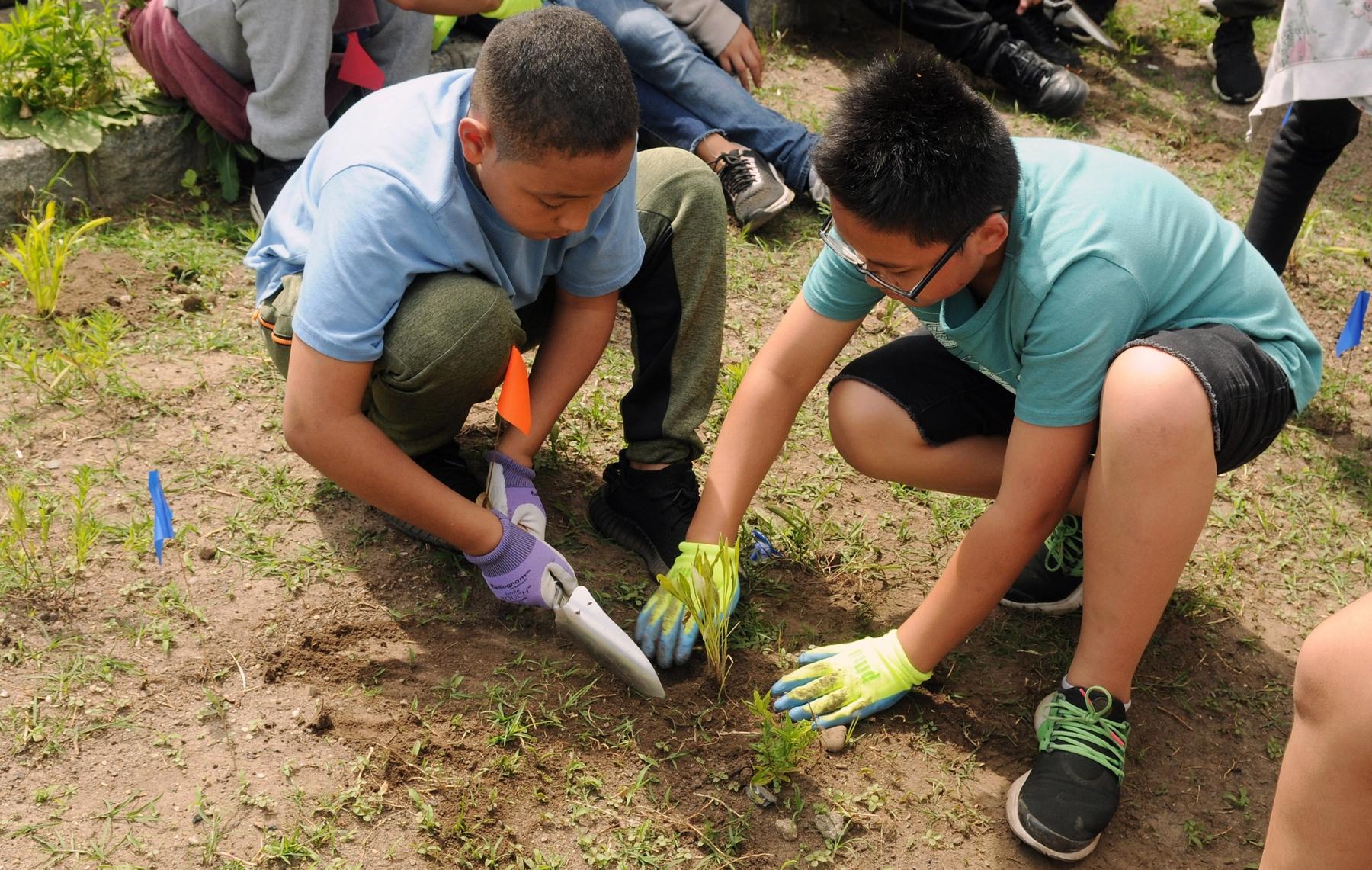 Leaving No Stone Unturned At Green-Wood