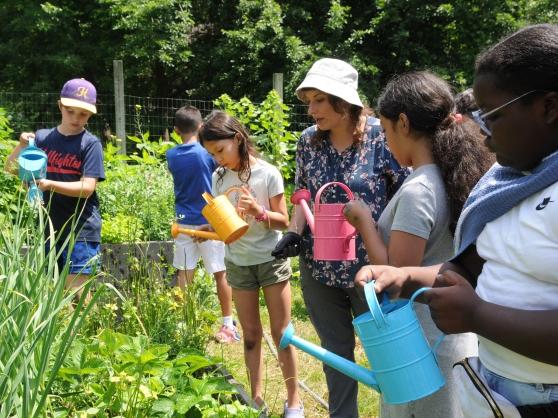 Planting seeds of knowledge